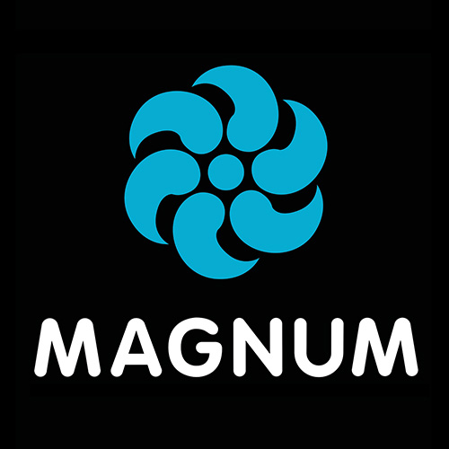 Magnum vuurwerk